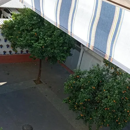 Apartment La Paloma