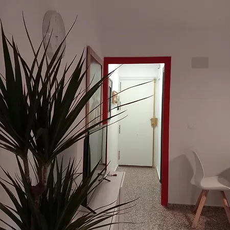 La Paloma 科爾多瓦